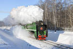Die Dampflokomotive P36-0110 läuft mit einem Touristenzug auf die Streke Mytischtschi – Podlipki-Dachnyje unweit von Moskau am 23.