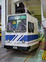 Die LWS-86 sind die am meisten in Russland gebauten Gelenktriebwagen.