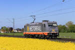 241.005  Solo  (Hector Rail) in Meerbusch B�singhoven, 24. April 2026