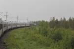 Bei ungemütlichem Regenwetter durchquert Nattåg 94 nach Narvik die Wälder von Lappland nördlich des Polarkreises.