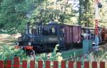 stra Sdermanlands Jrnvg (SlJ) 8  EMSFORS  am 25.07.1999
in Gripsholm.
fhrt zwischen Lggesta Nedre und Mariefred
Standard 0-8-0T Feldbahnlok, gebaut von Schsische Maschinenfabrik in Chemnitz 1919 und neu zu den Emsfors Paper Mill nach Sweden verkauft. Beheimatet in Mariefred seit 1971.