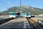 BDhe 4/4 15 und BDhe 2/4 14 (CFeh 2/4 14) der Arth-Rigi-Bahn (ARB | Rigi Bahnen AG) stehen im Bahnhof Arth-Goldau (CH).