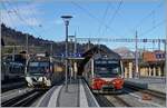 Bunte  Lenker-Pendel  in Zweisimmen nach Rougemont und nach der Lenk.