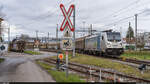 BLS 187 008 / Kerzers, 27. November 2021<br>
Nespresso-Zug Chavornay - Avenches