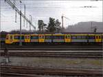Das Transportgut der Class 555 von der unversehrten Seite: 555 002 in St. Margrethen, Februar 2023.