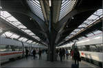 Die Einen kommen, die Anderen gehen -

Zürich Hauptbahnhof. 

09.03.2008 (M)