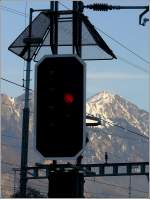 Ausfahrsignal mit Schutzgitter in Sargans. (29.01.2008)