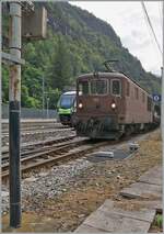 Die BLS Re 4/4 195 verlässt mit ihrem Autoreisezug nach Brig den Bahnhof von Iselle di Trasquera.