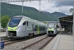 Im BLS /MLB Bahnhof von Grenchen Nord kreuzen sich der BLS MIKA RABe 528 109 als IR 1869 von Biel/Bienne nach Basel und der BLS MIKA RABe 528 134 als IR 1868 auf der Fahrt von Basel SBB nach Biel/Bienne. 

20. Mai 2026