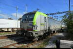 BLS - Wenn die Lok 475 403-2 zum Fotografenstandpunkt in Pratteln kommt am 02.10.2026