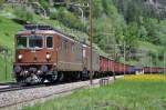 BLS 162 + 163  bei Gurtnellen  15.05.12