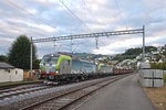 Die beiden neuen BLS Re 475 403 und 404 sind am Abend des 05.10.2016 bei Richterswil am Zürichsee mit einem Holcim-Zug in Richtung Zürich unterwegs.