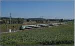 Zwischen Kerzers und Ins ist ein RE Bern - La Chaux-de-Fonds unterwegs.