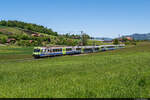 Am 30.05.2021 ist BLS RBDe 565 737 unterwegs als S4 15451 von Thun nach Bern und konnte hier kurz vor der Einfahrt in Seftigen aufgenommen werden.