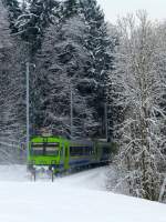 NPZ zwischen Aekenmatt und Lanzenhusern am 12.02.2013