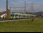 BLS - Regio nach Bern mit den Triebwagen RABe 525 017 + 525 027 unterwegs bei Lyssach am 31.10.2020