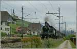  10 Jahre Stiftung Historisches Erbe SBB  - Drei-Seen Jubiläumsfahrt der A 3/5 705 mit ihrer historischen Wagenkomposition von 1930, hier Ligerz, auf dem Weg nach Murten am 25.