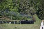 Am 26.04.2026 h�lt der Dampfzug von SBB Historic auf der Fahrt von Sissach nach Olten an der Haltestelle R�mlingen.