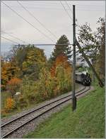  LA DER 2020 du Blonay-Chamby  / Saison Abschluss der Blonay-Chamby Bahn: Mit einem verstärkten Fahrplan und viel Dampf wird vor dem  Winterschlaf  (bzw.