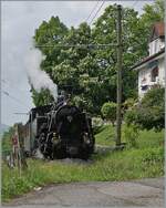 Bei Chaulin kämpft sich die BFD HG 3/4 N° 3 der Blonay - Chamby Bahn durch die Vegetation.