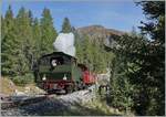 Von Realp kommend hat die HG 4/4 704 mit ihrem Dampfzug die baumlose Hochgebirgslandschaft hinter sich gelassen und fährt wenige Kilometer vor ihrer Ankunft in Oberwald durch eine Waldstück. 

30. September 2021