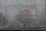 CH-LPAG - Lok 92 85 8 841 030-0 im Nebel im Areal der Zuckerfabrik Aarberg bei Rangierarbeiten am 08.11.2025