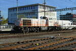 Sersa - Lok 843 153-8 ( Cinderella) im Bahnhof Langenthal am 09.04.2026