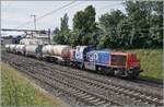 Auf den ersten Blick schient die Strecke von Gen�ve nach La Plaine bei Vernier drei Streckengleise aufzuweisen, in Wirklichkeit ist das Gleis rechts im Bild ein 'Industriegeleis' und die SBB Mak 1700 Am 843 069-6 (Am 98 85 5 843 069-6 CH-SBBC) ist mi ...