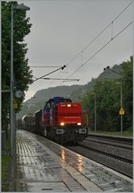 Die Am 843 092-8 ist mit einem Güterzug von Schaffhausen nach Singen unterwegs und hat Bietingen erreicht.
17. Juni 2016