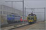 Wenn eine ex SNCF Lok eine ex ÖBB Lok trifft, ist dies ein Bild wert, selbst bei diesem Nebelwetter.