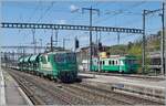 Die Die BAM MBC Re 4/4 II (UIC 91 85 4420 506-8 CH-MBC) erreicht mit ihrem Kieszug von Gland nach Apples Morges, wo der Zug für die Weiterfahrt auf Rollböcke verladen wird. Im Hintergrund des Bildes seht der BAM MBC Be 4/4 N° 11. 

16. April 2026