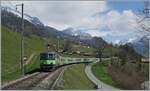 Die BLS Re 4/4 II 501 ist mit ihrem RE bei Enge im Simmental auf der Fahrt von  Zweisimmen nach Interlaken Ost. 

14. April 2021