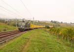 Das ursprüngliche Grün der Re 4/4 II 11335 macht sich an einem nebligen Tag am gelben Postzug in den bunten Rebbergen gediegen aus.