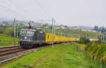 Die jetzt wieder grün lackierte Re 4/4 II 11335 ist am 08.10.2025 mit einem Postzug in den Weinbergen bei Auvernier in Richtung Süden unterwegs.