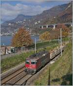 Die SBB Re 4/4 II 11243 (Re 420 243-8 )  Smile  erreicht mit ihrem Güterzug Villeneuve. 

14. November 2024