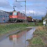 Schweizer Zucker AG, Zuckerfabrik Aarberg AG, Kampagne 2025: Re 4/4 II 11199 + Re II 4/4 11164 + 25 Eaos/Eas, Zug 67167 St-Triphon-Aarberg, Lyss, 10.