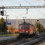 Schweizer Zucker AG, Zuckerfabrik Aarberg, Kampagne 2025: Re 4/4 II 11301 + Re II 4/4 11146 + 18 Eaos/Eas, Zug 67155 Yverdon-Aarberg, Busswil, 4. November 2025. 