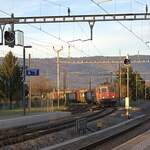 Schweizer Zucker AG, Zuckerfabrik Aarberg, Kampagne 2025: Re 4/4 II 11301 + Re 4/4 II 11146 + 18 Eaos/Eas, Zug 67155 Yverdon-Aarberg, Busswil, 4.