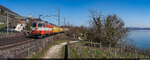 SBB Re 420 109 / Ligerz, 3. März 2026<br>Postzug 50012 Zürich Mülligen - Genève