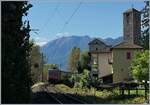 Eine SBB Re 4/4 II hat gerade ihren Zugausgangsbahnhof Locarno verlassen und f�hrt nun via Bellinzona dem Gotthard entgegen. 

19. September 2016
 
