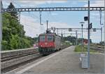 Als ich in Grenchen Nord auf meinen ICN nach Lausanne wartete, wurde ich von der SBB Re 4/4 II 11251 (Re 420 251-1) �berrascht, der offiziellen Jubil�umslok zum 175-j�hrigen Bestehen der Schweizer Bahnen im Jahr 2022. Leider konnte ich deshalb die von Gudrun Geiblinger gestalteten Motiven historischer und aktueller Fahrzeuge auf den Seitenw�nden der Lok nicht umsetzten. Doch allein eine Re 4/4 II in Grenchen Nord schien mir ein Foto (bzw. zwei) wert. 

20. Mai 2026
