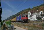 Auf dem letzten Einspurabschnitt der Jurafuss Strecke ist bei Ligerz ist die SBB Re 4/4 II 11288 (Re 420 288-3)  Avanti tutta  mit einem Postzug auf dem Weg nach Biel/Bienne.

16. Juli 2026