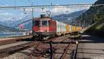 In Immensee kann man den abendlichen Postzug nach H�rkingen mit dem Zugersee und den Schweizer Alpen im Hintergrund ablichten. Am Abend des 29. Mai 2026 bespannte die SBB Cargo 420 295 die Leistung.