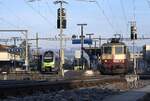 Schweizer Zucker AG, Zuckerfabrik Aarberg, Kampagne 2025: Re 4/4 II 11393 + Re 4/4 11387 (beide von IRSI) + 29 Eaos/Eas, Zug 69417 Aarberg-Islikon, Leerwagenzug zum Abholen von Rüben in der Zuckerfabrik Frauenfeld, Lyss, 14. Januar 2025. Gleis 1 (ganz links) ist gerade frei (IR 65 Bern-Biel und S3 Belp-Bern-Biel). Auf Gleis 2 wartet ein RABe 525 (vierteiliger Nina) als S35 Lyss-Kerzers. Auf Gleis 3 fährt weg IR 65 Biel-Bern, RABe 515 036 (Mutz). Auf Gleis 4 steht S36 Lyss-Büren, ein RABe 525 (dreiteiliger Nina). 
