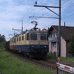 Schweizer Zucker AG, Zuckerfabrik Aarberg, Kampagne 2025: Re 4/4 II 11387 + Re 4/4 II 11393 (beide von IRSI) + 34 Eaos/Eas, Zug 69406 Islikon-Aarberg (via Burgdorf-Kerzers), Zug mit leeren Wagen zur Weiterleitung an die Rübenverladeorte, Aarberg, 30. September 2025. Vertragspartnerin für die Bahnlogistik der Schweizer Zucker AG ist die TR Transrail AG, Frauenfeld. Sie arbeitet mit Mietloks: Die Basis im Verkehr ab und nach Aarberg bildeten die meiste Zeit zwei Re 420 von SBB Personenverkehr, zwei Re 465 der BLS und zwei Akiem-189er. Fall- und zeitweise kamen weitere Loks zum Einsatz, so auch die beiden Re 4/4 II der International Rolling Stock Investment AG, Frauenfeld (IRSI).