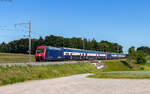 Re 450 090 und Re 450 085 als S 20362 (Winterthur - Schaffhausen) bei Rheinau 29.5.26