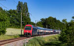 Re 450 004 und Re 450 021 als S 19269 (Brugg - Schaffhausen) bei Dachsen 29.5.26