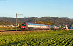 Re 450 096 und Re 450 088 als S 18374 (Wetzikon - Z�rich Hardbr�cke) bei Fehraltorf 4.9.26