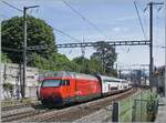 4 Gleise, 3 Strecken, 2 Stromsystem und 1 Zug - eine SBB Re 460 schiebt ihren IR 95 1721 von Gen�ve A�roport nach Brig kurz nach St-Jean und Gen�ve in den Bahnhof von Gen�ve.
Das Gleis links der Lok ist mit 25000 Volt / 50 Hertz elektrifiziert, die andern mit 15000 Volt / 16 2/3 Hertz. Das Gleis rechts der Lok dient den Z�gen nach Gen�ve A�roport und Annemasse, das kaum zu sehende Gleis rechts im Bild, den Z�gen von Annemasse.

1. Juli 2026