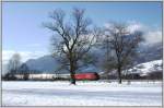 Re 460 mit DS-IC von Chur nach Basel SBB zwischen Zizers und Landquart.